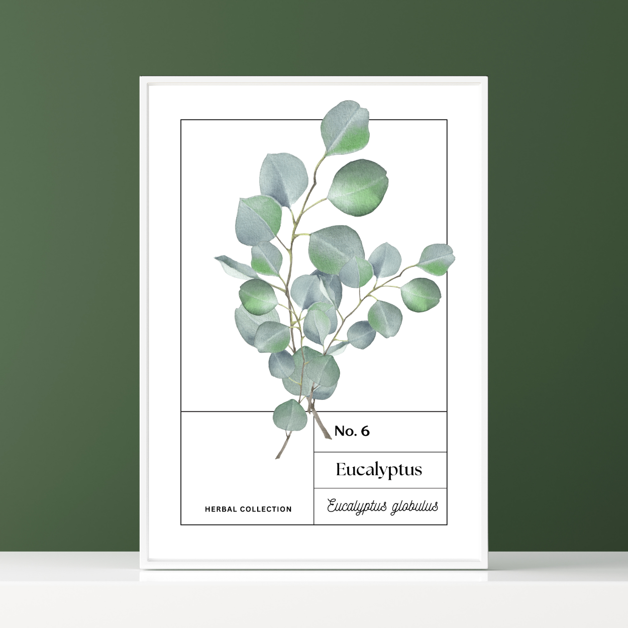 Eucalyptus