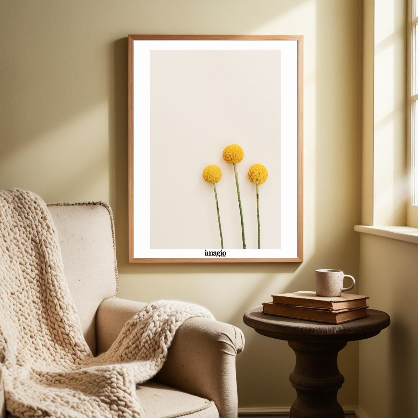 Billy Buttons Flowers on Beige Background - Art Photography