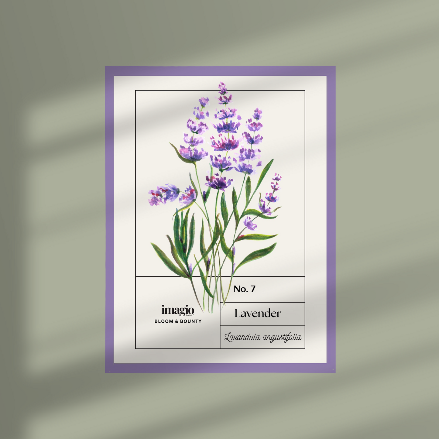 Uramljen poster Lavender - 32x42 / 42x52 cm ljubičasti ram