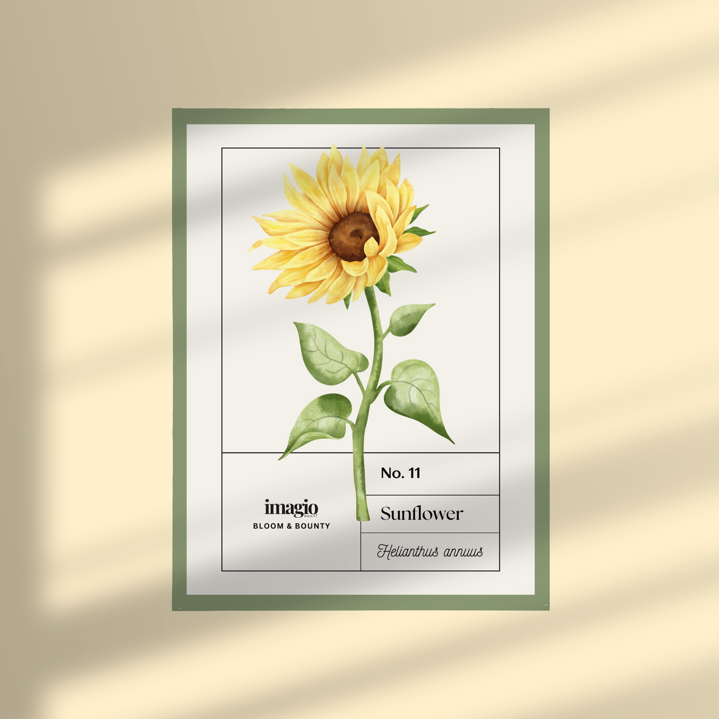 Uramljen poster Sunflower - 32x42 / 42x52 cm zeleni ram