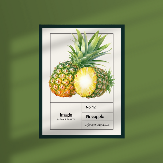 Uramljen poster Pineapple - 32x42 / 42x52 cm tamno-zeleni ram