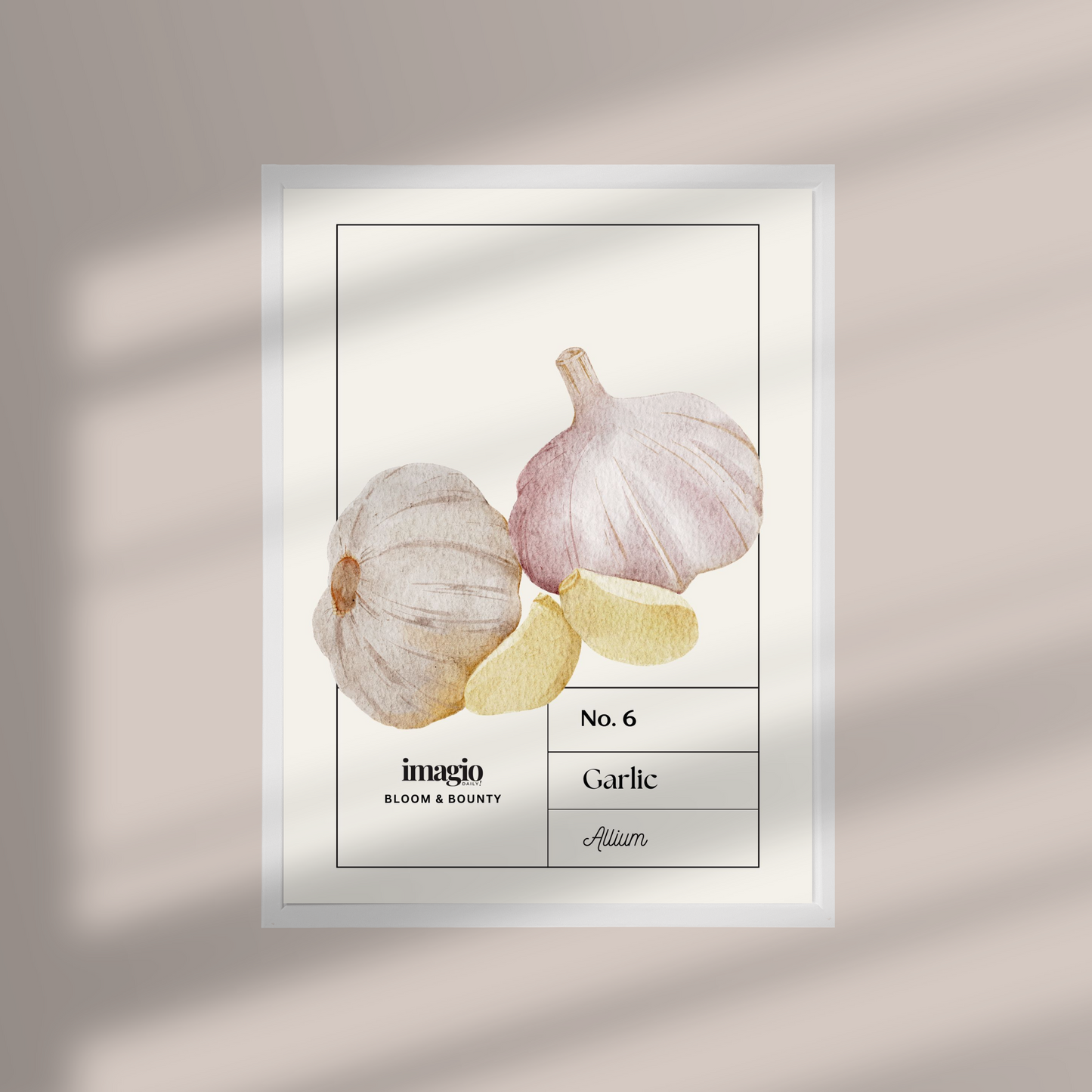 Uramljen poster Garlic - 32x42 / 42x52 cm beli ram