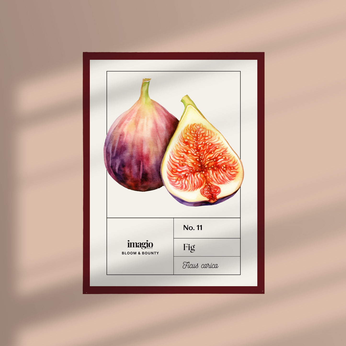 Uramljen poster Fig - 32x42 / 42x52 cm bordo ram