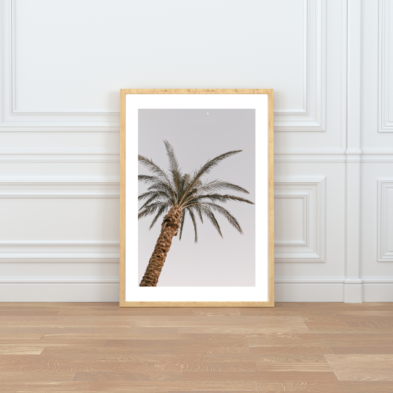 Palm Tree