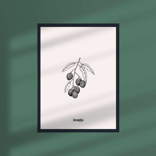 Framed Art Silent Sketch Fruit #2 - 32x42 / 42x52 cm Black