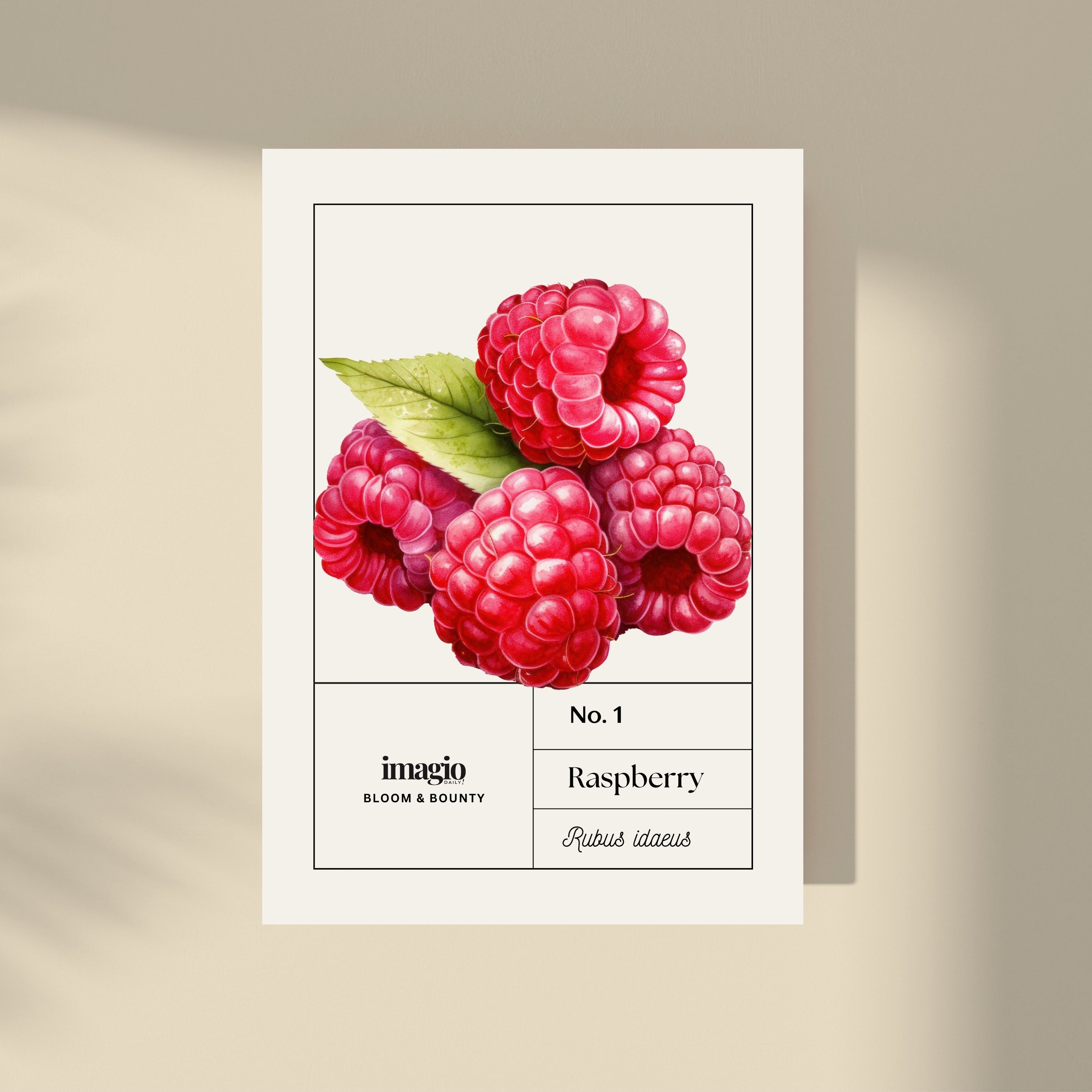 Bloom & Bounty - Raspberry – Imagio