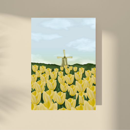 Yellow Tulips