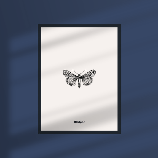 Framed Art Silent Sketch Butterfly #2 - 32x42 / 42x52 cm Black