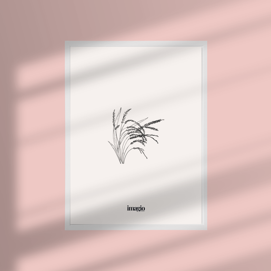 Framed Art Silent Sketch Herb #3 - 32x42 / 42x52 cm White