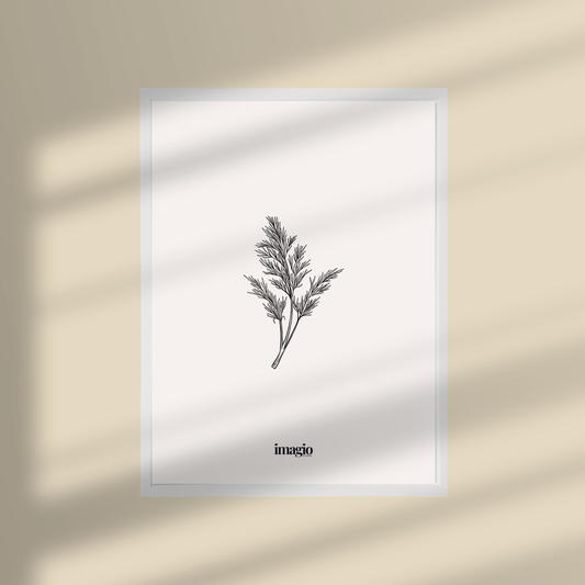 Framed Art Silent Sketch Herb #2 - 32x42 / 42x52 cm White