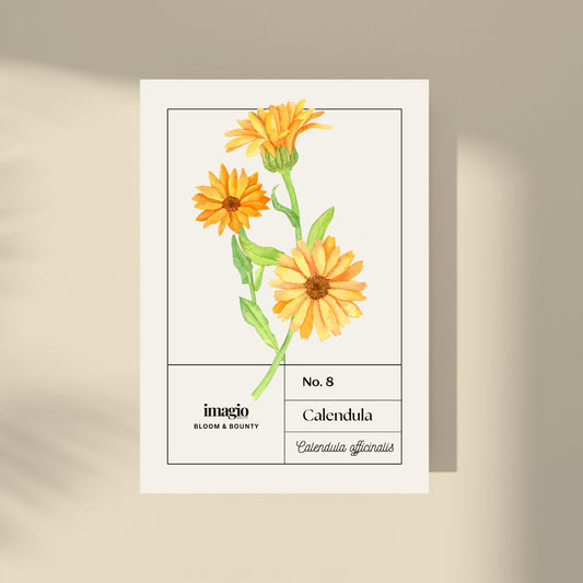 Bloom & Bounty - Calendula