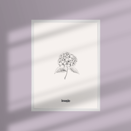 Uramljen poster Silent Sketch Flower #1 - 32x42 / 42x52 cm beli ram