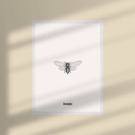 Uramljen poster Silent Sketch Bee - 32x42 / 42x52 cm beli ram