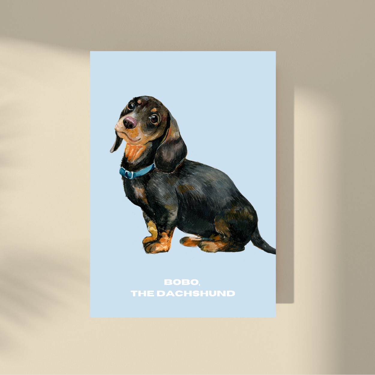 Bobo: the Dachshund