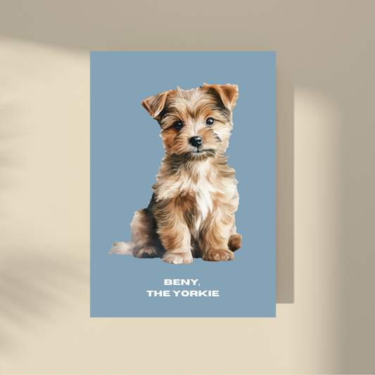 Beny: the Yorkie