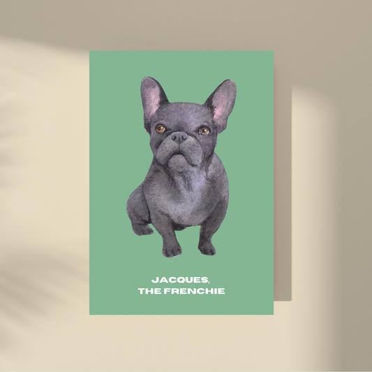 Jacques: the Frenchie