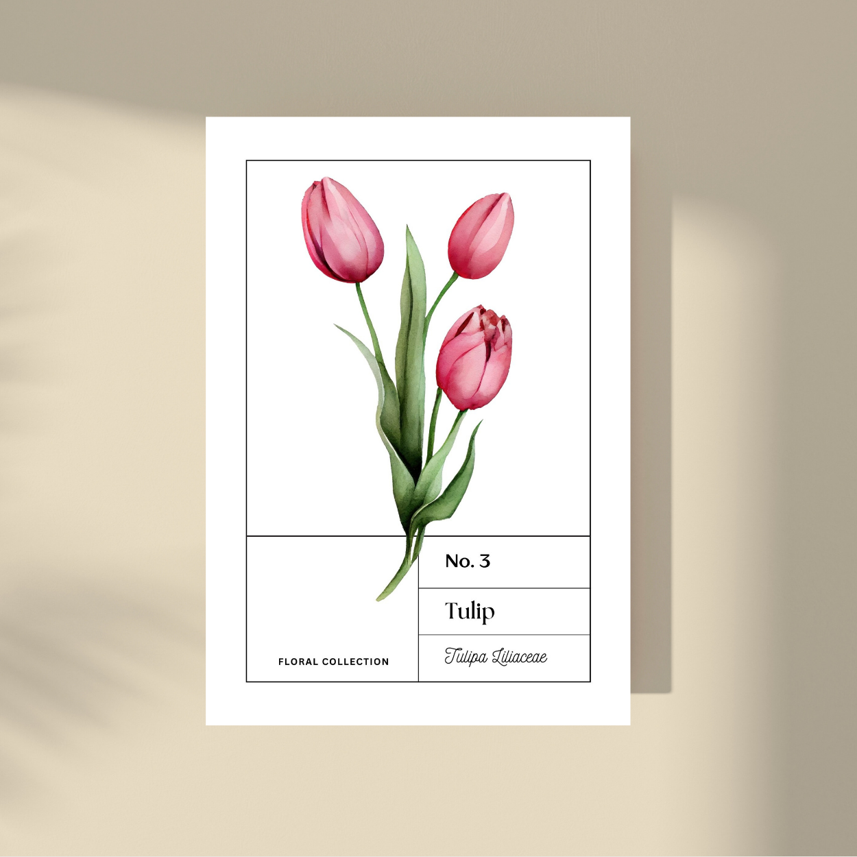 Tulip