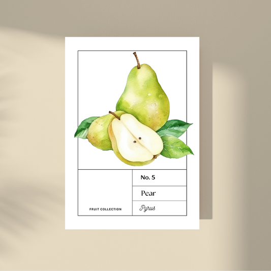 Pear