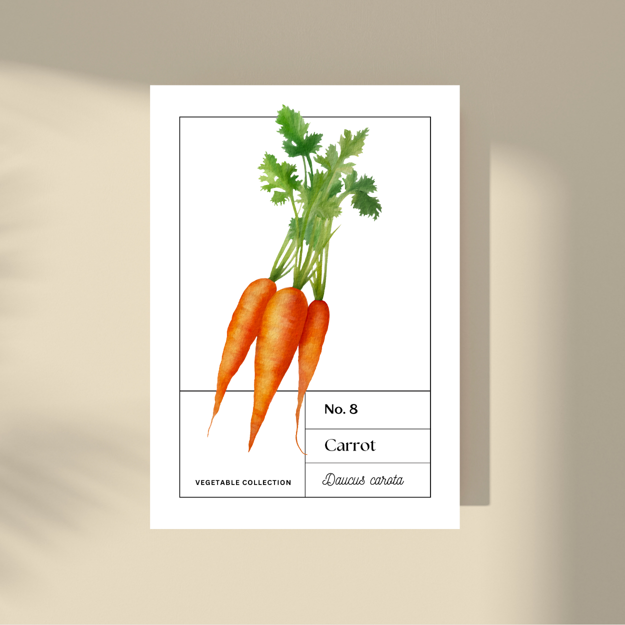 Carrot