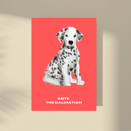 Ante: the Dalmatian