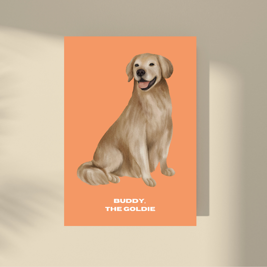 Buddy: the Goldie