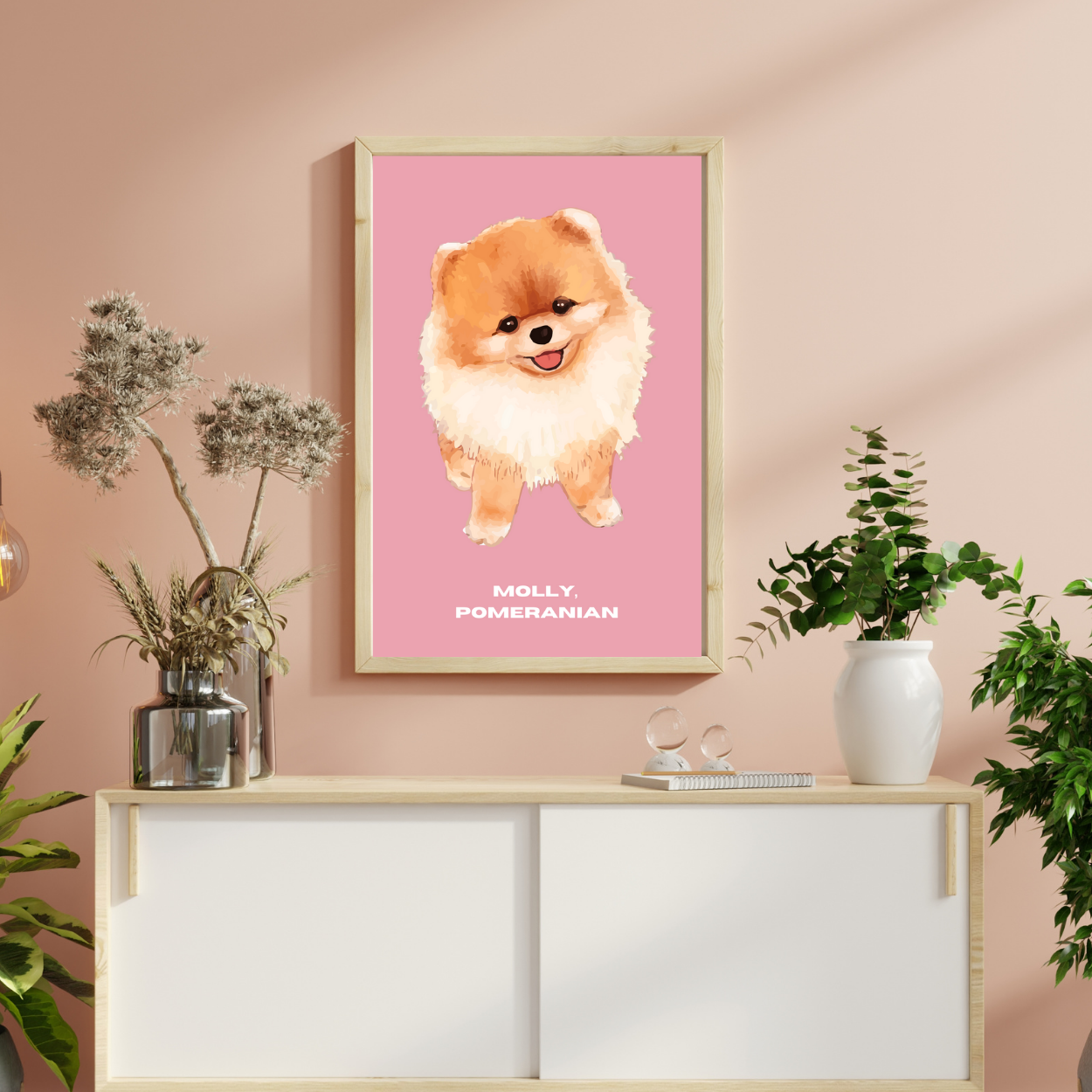 Molly: Pomeranian