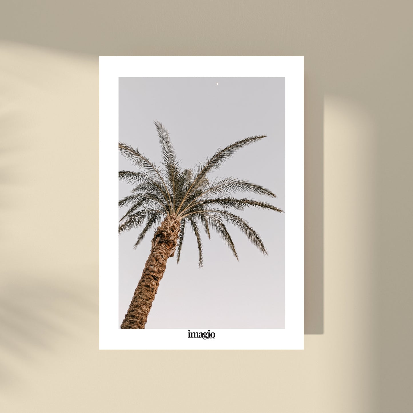 Palm Tree