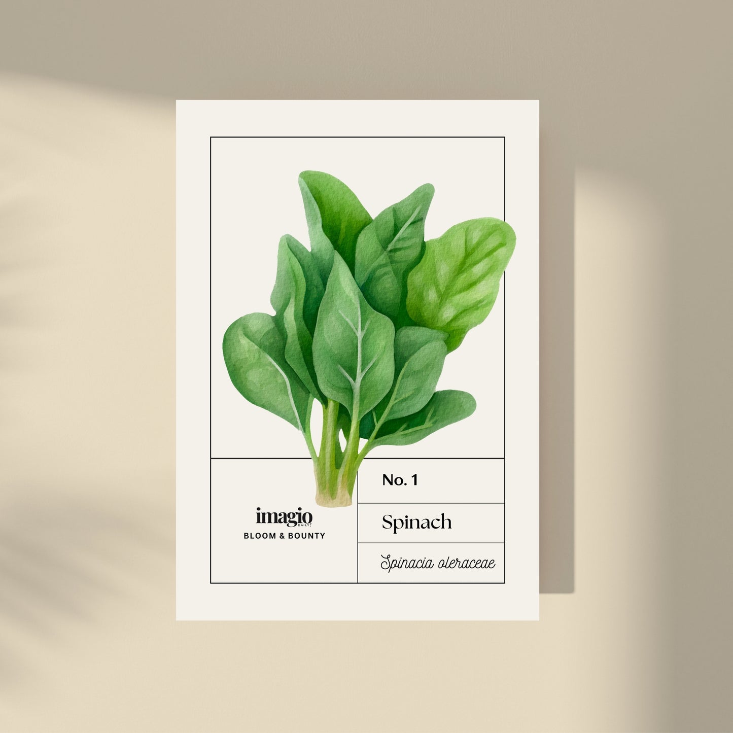 Bloom & Bounty - Bell Paprika & Spinach: Duo Set 30x40cm