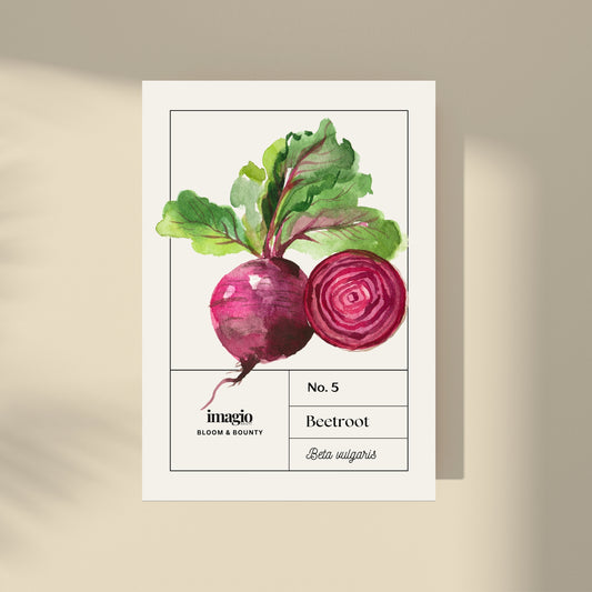 Bloom & Bounty - Beetroot